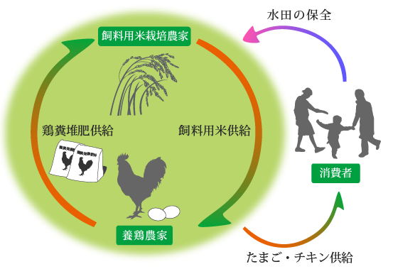 ほほえみプロジェクトのサイクルイメージ